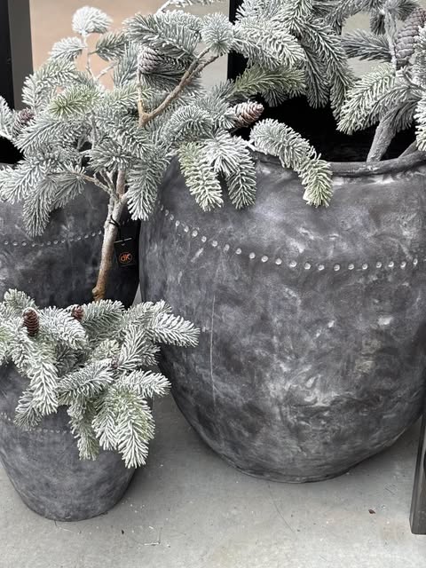Frosted Forest – borovicová větvička se šiškami 