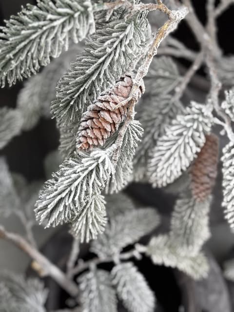 Frosted Forest – borovicová větvička se šiškami 