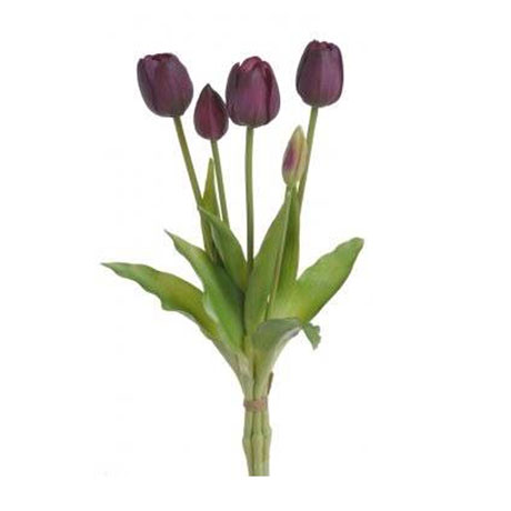 Svazek tulipánů vínová