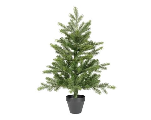 Stromek Grandis v květináči velký